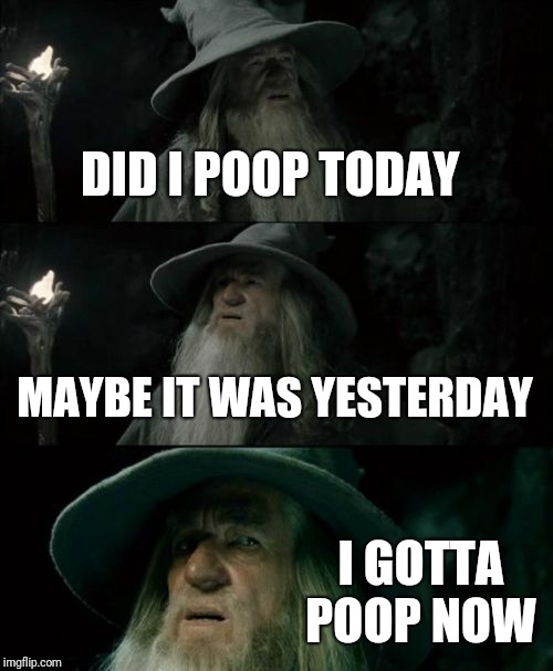 When you forget last time you took a crap  | DID I POOP TODAY; MAYBE IT WAS YESTERDAY; I GOTTA POOP NOW | image tagged in memes,confused gandalf | made w/ Imgflip meme maker