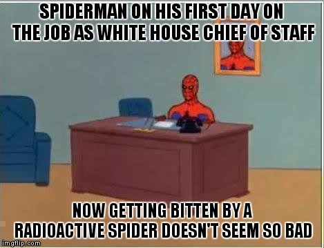 They Say That A Hero Could Save Us.. | SPIDERMAN ON HIS FIRST DAY ON THE JOB AS WHITE HOUSE CHIEF OF STAFF; NOW GETTING BITTEN BY A RADIOACTIVE SPIDER DOESN'T SEEM SO BAD | image tagged in memes,spiderman computer desk,spiderman | made w/ Imgflip meme maker