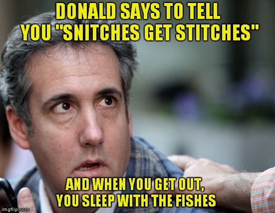 Cohen Hopes Not To Be Joined By The Entire White House Staff.. | DONALD SAYS TO TELL YOU "SNITCHES GET STITCHES"; AND WHEN YOU GET OUT, YOU SLEEP WITH THE FISHES | image tagged in michael cohen sings,michael cohen | made w/ Imgflip meme maker