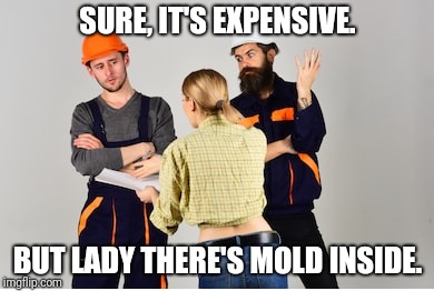 But The Neighbors Might Think...  Lady, It's Bad In There. | SURE, IT'S EXPENSIVE. BUT LADY THERE'S MOLD INSIDE. | image tagged in song lyrics | made w/ Imgflip meme maker