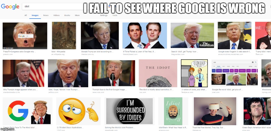 I FAIL TO SEE WHERE GOOGLE IS WRONG | image tagged in donald trump | made w/ Imgflip meme maker