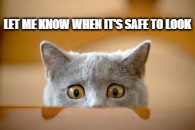 Safe to look | LET ME KNOW WHEN IT'S SAFE TO LOOK | image tagged in cat,funny cats,memes,my eyes | made w/ Imgflip meme maker