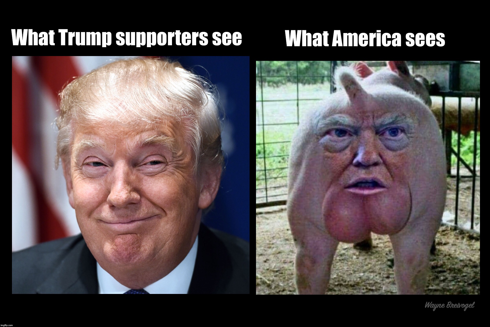What Trump supporters see | What America sees; What Trump supporters see; Wayne Breivogel | image tagged in donald trump,smiling | made w/ Imgflip meme maker