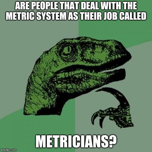 Philosoraptor | ARE PEOPLE THAT DEAL WITH THE METRIC SYSTEM AS THEIR JOB CALLED; METRICIANS? | image tagged in memes,philosoraptor | made w/ Imgflip meme maker