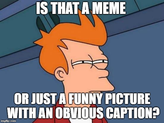 Futurama Fry Meme | IS THAT A MEME; OR JUST A FUNNY PICTURE WITH AN OBVIOUS CAPTION? | image tagged in memes,futurama fry | made w/ Imgflip meme maker