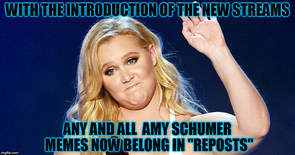 If you know what I mean...  (Reposting with typo correction) | WITH THE INTRODUCTION OF THE NEW STREAMS; ANY AND ALL  AMY SCHUMER MEMES NOW BELONG IN "REPOSTS" | image tagged in amy schumer,memes,reposting my own | made w/ Imgflip meme maker