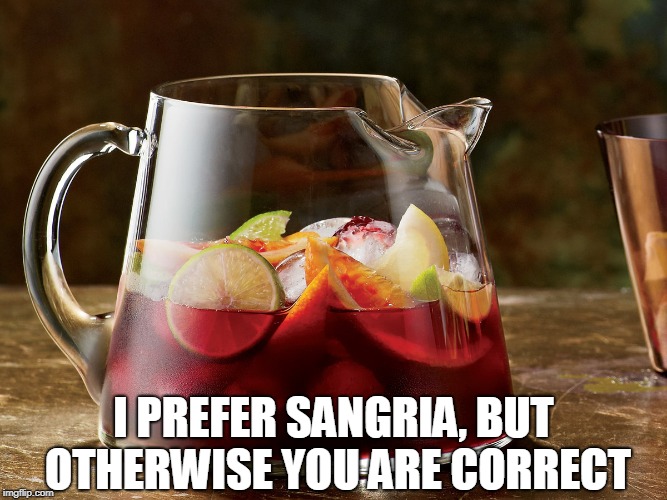 I PREFER SANGRIA, BUT OTHERWISE YOU ARE CORRECT | made w/ Imgflip meme maker
