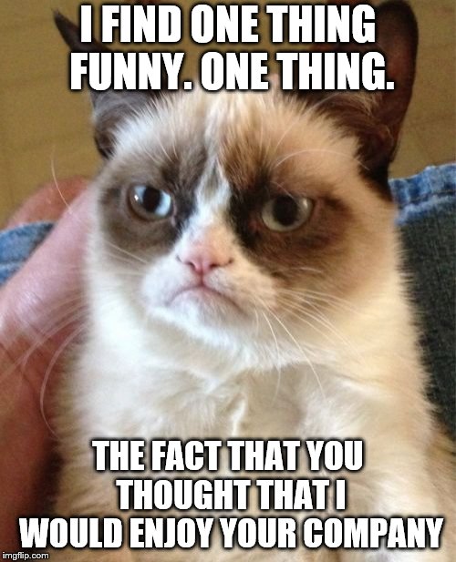 that's funny | I FIND ONE THING FUNNY. ONE THING. THE FACT THAT YOU THOUGHT THAT I WOULD ENJOY YOUR COMPANY | image tagged in memes,grumpy cat | made w/ Imgflip meme maker