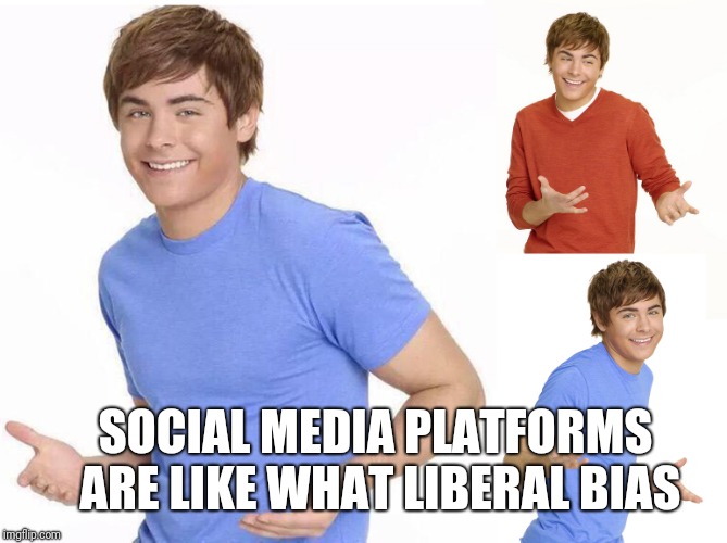 Zac Efron | SOCIAL MEDIA PLATFORMS ARE LIKE WHAT LIBERAL BIAS | image tagged in zac efron | made w/ Imgflip meme maker