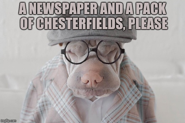 Dogs With Personality Week, a Deadbox Prime event, 12/11-12/18 |  A NEWSPAPER AND A PACK OF CHESTERFIELDS, PLEASE | image tagged in dogs w personality,morris | made w/ Imgflip meme maker