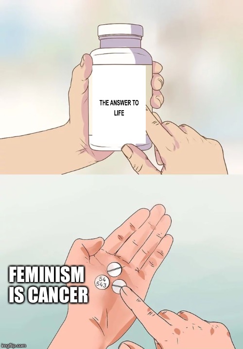 The answer to life | FEMINISM IS CANCER | image tagged in memes,hard to swallow pills,dank,answer to life,42 | made w/ Imgflip meme maker
