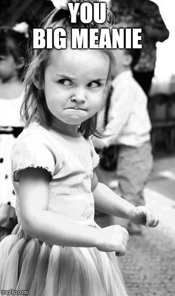 Angry Toddler Meme | YOU BIG MEANIE | image tagged in memes,angry toddler | made w/ Imgflip meme maker