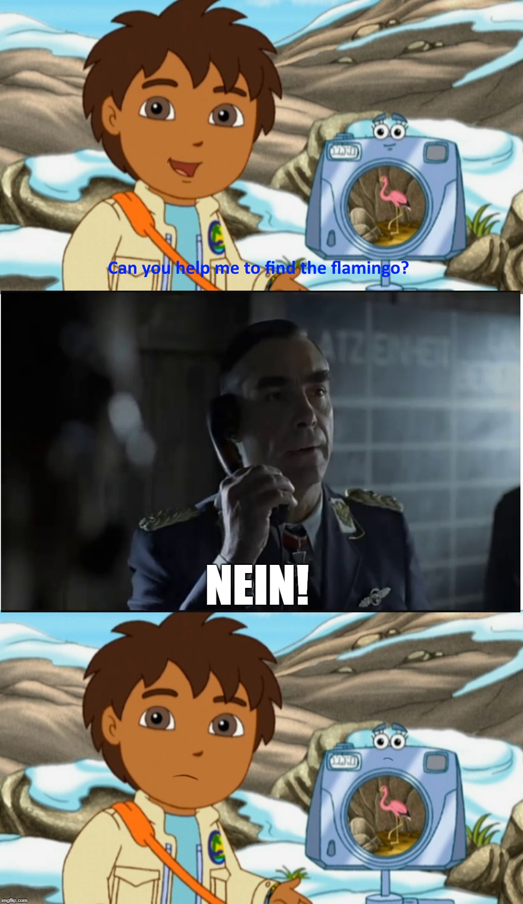 Koller Hates Diego | NEIN! | image tagged in dora the explorer,memes,hitler downfall | made w/ Imgflip meme maker