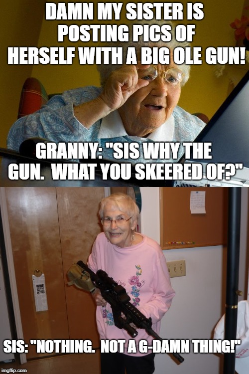 Don't ever mess with someone who's looking at death's door every day anyway. | DAMN MY SISTER IS POSTING PICS OF HERSELF WITH A BIG OLE GUN! GRANNY: "SIS WHY THE GUN.  WHAT YOU SKEERED OF?"; SIS: "NOTHING.  NOT A G-DAMN THING!" | image tagged in memes,grandma finds the internet,gun control,guns,political meme,politics | made w/ Imgflip meme maker