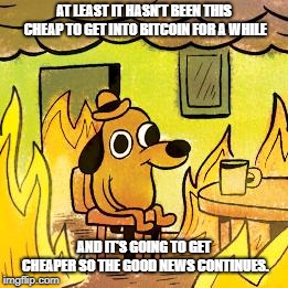 Dog in burning house | AT LEAST IT HASN’T BEEN THIS CHEAP TO GET INTO BITCOIN FOR A WHILE; AND IT’S GOING TO GET CHEAPER SO THE GOOD NEWS CONTINUES. | image tagged in dog in burning house | made w/ Imgflip meme maker