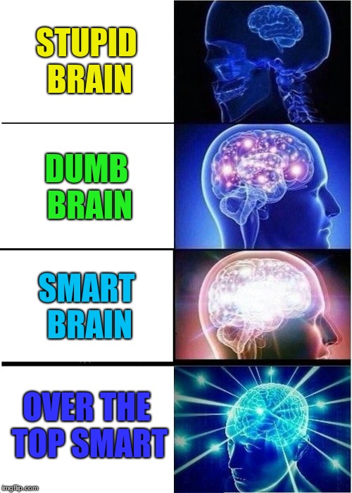 Expanding Brain Meme | STUPID BRAIN; DUMB BRAIN; SMART BRAIN; OVER THE TOP SMART | image tagged in memes,expanding brain | made w/ Imgflip meme maker