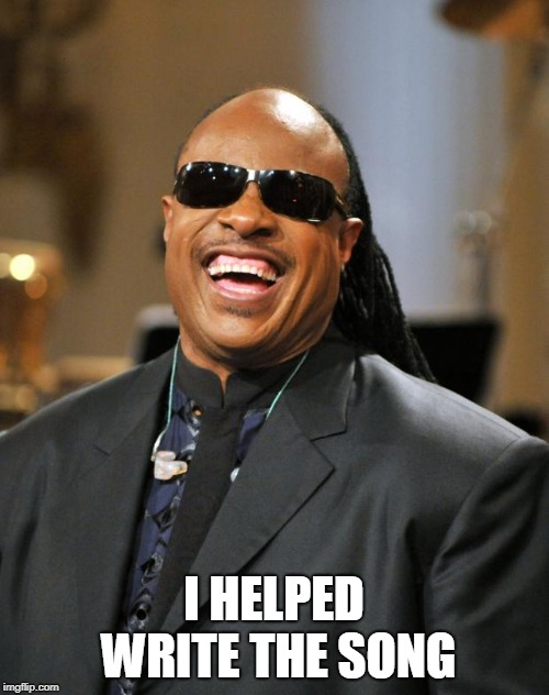 Stevie Wonder | I HELPED WRITE THE SONG | image tagged in stevie wonder | made w/ Imgflip meme maker