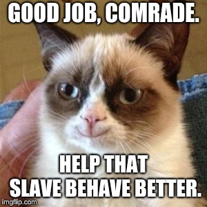Grumpy Cat Smile | GOOD JOB, COMRADE. HELP THAT SLAVE BEHAVE BETTER. | image tagged in grumpy cat smile | made w/ Imgflip meme maker