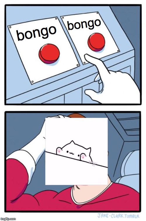 Two Buttons | bongo; bongo | image tagged in memes,two buttons | made w/ Imgflip meme maker