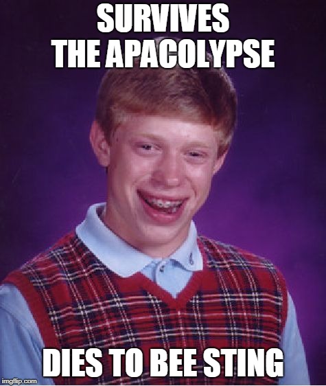 Bad Luck Brian | SURVIVES THE APACOLYPSE; DIES TO BEE STING | image tagged in memes,bad luck brian | made w/ Imgflip meme maker
