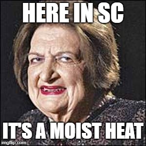 Moist | HERE IN SC IT'S A MOIST HEAT | image tagged in moist | made w/ Imgflip meme maker