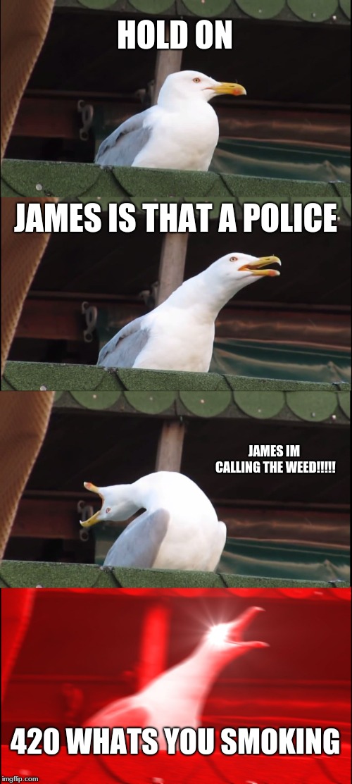 Inhaling Seagull | HOLD ON; JAMES IS THAT A POLICE; JAMES IM CALLING THE WEED!!!!! 420 WHATS YOU SMOKING | image tagged in memes,inhaling seagull | made w/ Imgflip meme maker