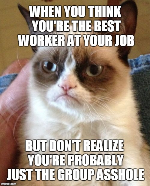 Grumpy Cat | WHEN YOU THINK YOU'RE THE BEST WORKER AT YOUR JOB; BUT DON'T REALIZE YOU'RE PROBABLY JUST THE GROUP ASSHOLE | image tagged in memes,grumpy cat | made w/ Imgflip meme maker