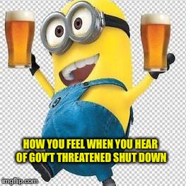 Drunk Minion | HOW YOU FEEL WHEN YOU HEAR OF GOV'T THREATENED SHUT DOWN | image tagged in drunk minion | made w/ Imgflip meme maker