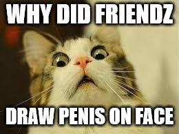 shocked cat | WHY DID FRIENDZ DRAW P**IS ON FACE | image tagged in shocked cat | made w/ Imgflip meme maker