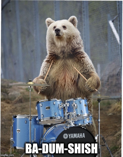 Drummer bear | BA-DUM-SHISH | image tagged in drummer bear | made w/ Imgflip meme maker