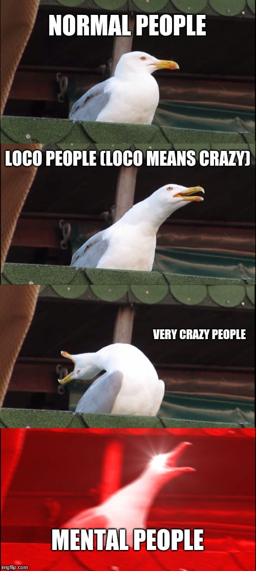 Inhaling Seagull Meme | NORMAL PEOPLE; LOCO PEOPLE (LOCO MEANS CRAZY); VERY CRAZY PEOPLE; MENTAL PEOPLE | image tagged in memes,inhaling seagull | made w/ Imgflip meme maker