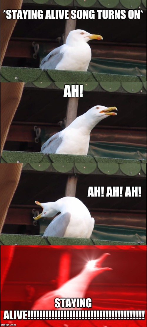 Inhaling Seagull | *STAYING ALIVE SONG TURNS ON*; AH! AH! AH! AH! STAYING ALIVE!!!!!!!!!!!!!!!!!!!!!!!!!!!!!!!!!!!!!!! | image tagged in memes,inhaling seagull | made w/ Imgflip meme maker