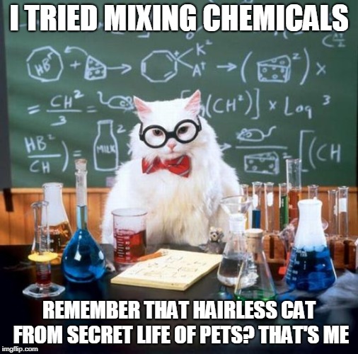 Chemistry Cat | I TRIED MIXING CHEMICALS; REMEMBER THAT HAIRLESS CAT FROM SECRET LIFE OF PETS? THAT'S ME | image tagged in memes,chemistry cat | made w/ Imgflip meme maker