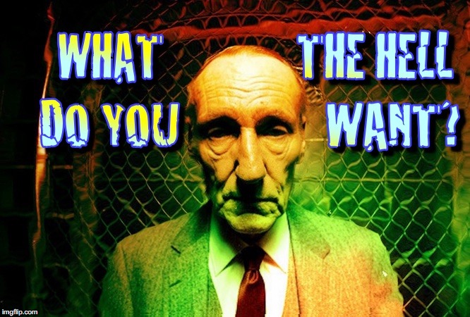 What The Hell Do You Want? | image tagged in william burroughs,what do you want,angry old man | made w/ Imgflip meme maker