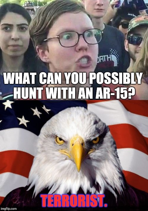 WHAT CAN YOU POSSIBLY HUNT WITH AN AR-15? TERRORIST. | image tagged in memes,patriotic eagle,triggered liberal | made w/ Imgflip meme maker