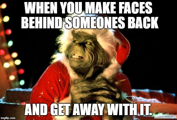 The Grinch | WHEN YOU MAKE FACES BEHIND SOMEONES BACK; AND GET AWAY WITH IT. | image tagged in the grinch | made w/ Imgflip meme maker