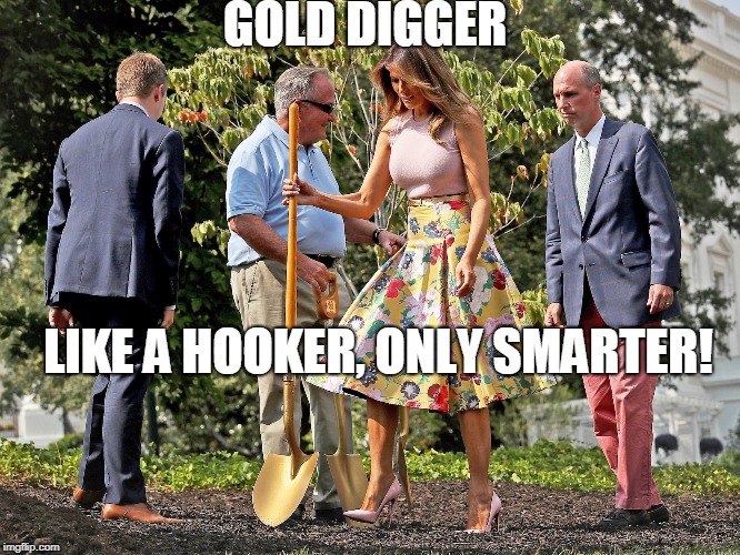 PicturePunches: Meme: Gold Digger