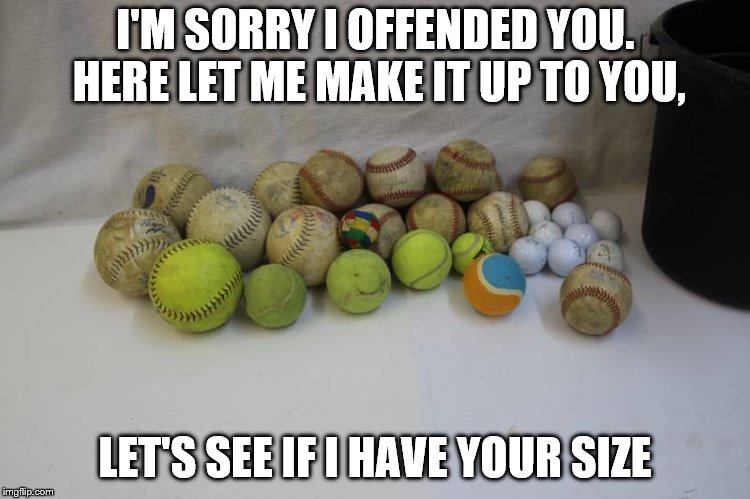 offended much | I'M SORRY I OFFENDED YOU. HERE LET ME MAKE IT UP TO YOU, LET'S SEE IF I HAVE YOUR SIZE | image tagged in balls | made w/ Imgflip meme maker