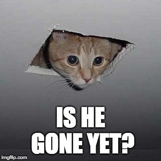 Ceiling Cat | IS HE GONE YET? | image tagged in memes,ceiling cat | made w/ Imgflip meme maker