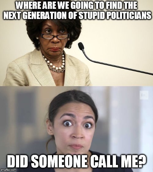 WHERE ARE WE GOING TO FIND THE NEXT GENERATION OF STUPID POLITICIANS; DID SOMEONE CALL ME? | image tagged in maxine waters crazy,crazy alexandria ocasio-cortez | made w/ Imgflip meme maker