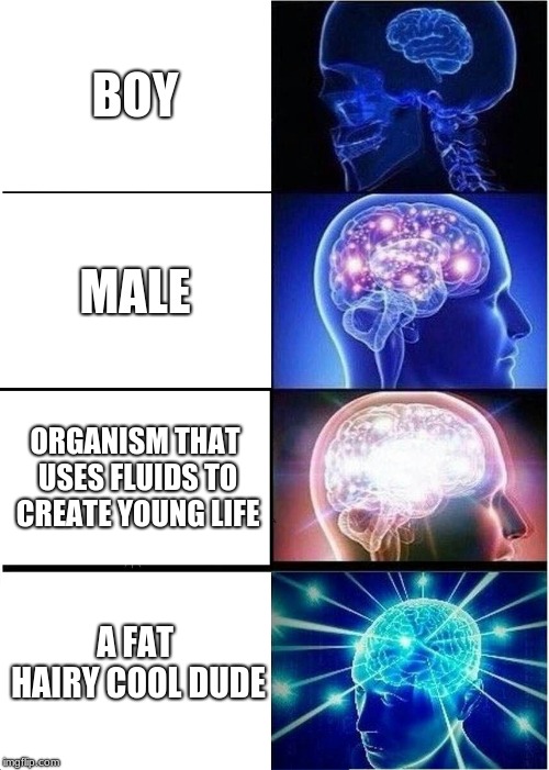 Expanding Brain | BOY; MALE; ORGANISM THAT USES FLUIDS TO CREATE YOUNG LIFE; A FAT HAIRY COOL DUDE | image tagged in memes,expanding brain | made w/ Imgflip meme maker