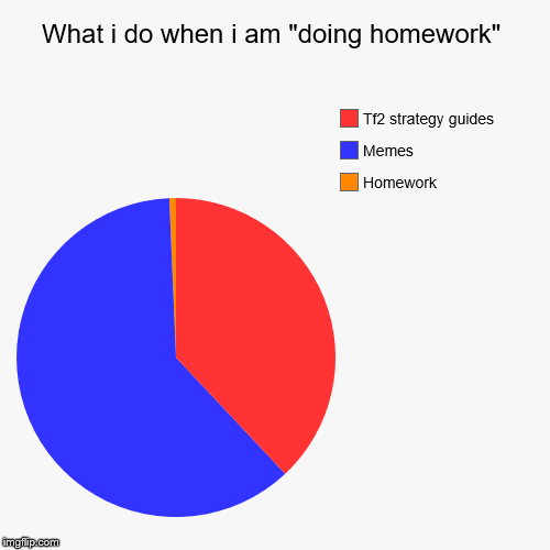 What i do when i am "doing homework" | Homework, Memes, Tf2 strategy guides | image tagged in funny,pie charts | made w/ Imgflip chart maker