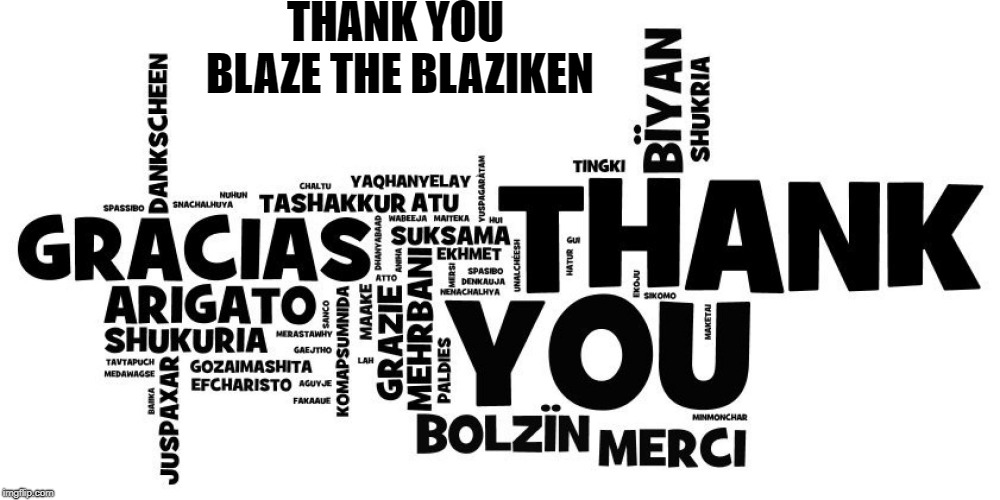 thanks | THANK YOU BLAZE THE BLAZIKEN | image tagged in thanks | made w/ Imgflip meme maker