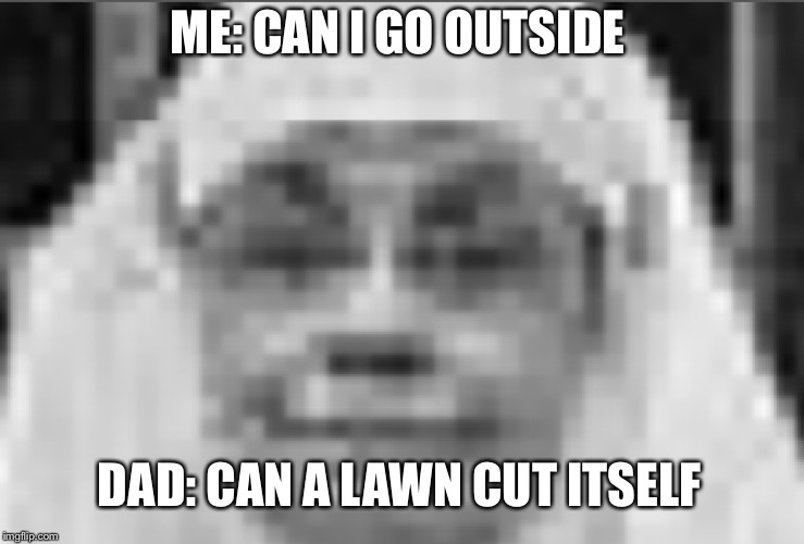 The definition of sarcasm | ME: CAN I GO OUTSIDE; DAD: CAN A LAWN CUT ITSELF | image tagged in the definition of sarcasm | made w/ Imgflip meme maker