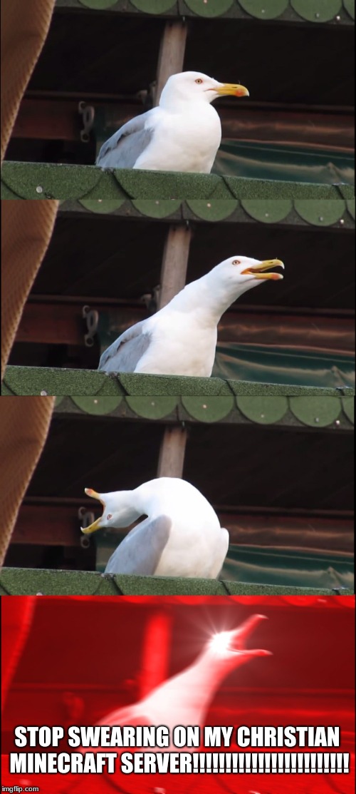Inhaling Seagull | STOP SWEARING ON MY CHRISTIAN MINECRAFT SERVER!!!!!!!!!!!!!!!!!!!!!!!! | image tagged in memes,inhaling seagull | made w/ Imgflip meme maker