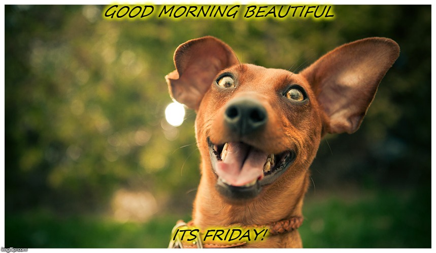 Friday | GOOD MORNING BEAUTIFUL; ITS FRIDAY! | image tagged in friday | made w/ Imgflip meme maker