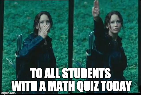 Katniss Respect | TO ALL STUDENTS WITH A MATH QUIZ TODAY | image tagged in katniss respect | made w/ Imgflip meme maker