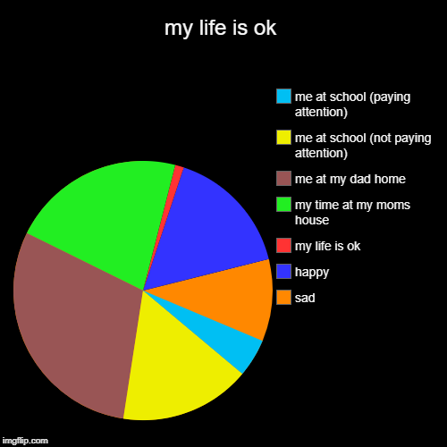 my life is ok | sad, happy, my life is ok, my time at my moms house, me at my dad home, me at school (not paying attention), me at school (p | image tagged in funny,pie charts | made w/ Imgflip chart maker