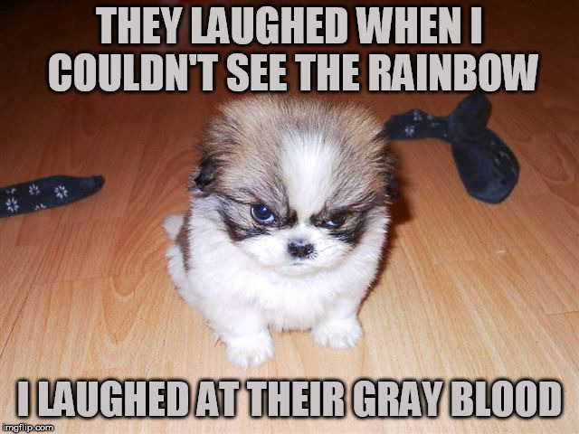 Special thanks to Cutememes | THEY LAUGHED WHEN I COULDN'T SEE THE RAINBOW; I LAUGHED AT THEIR GRAY BLOOD | image tagged in angry puppy,meme,insanity puppy | made w/ Imgflip meme maker