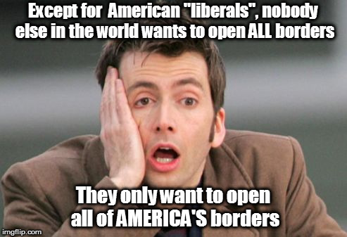 Pretty much... | Except for  American "liberals", nobody else in the world wants to open ALL borders; They only want to open all of AMERICA'S borders | image tagged in tennant facepalm,memes,politics,open borders | made w/ Imgflip meme maker